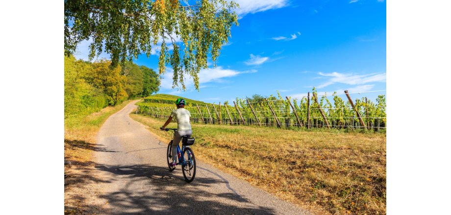 Auf dem Bild erkennt man eine Frau auf einem Fahrrad. Diese fährt bei Sonnenschein durch die Weinberge.